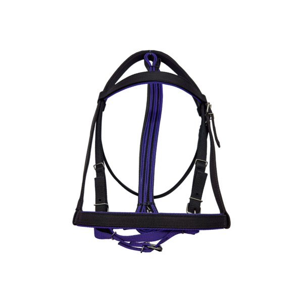 Cabezada de Carreras con Riendas Economica Negra/Morado