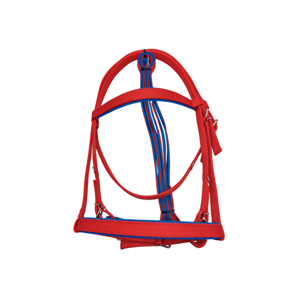 Cabezada de Carreras con Rienda Economica Roja