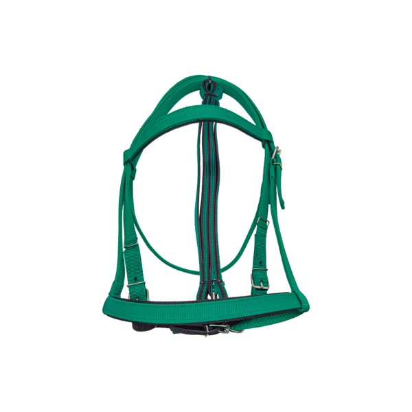 Cabezada de Carreras con Rienda Economica Verde