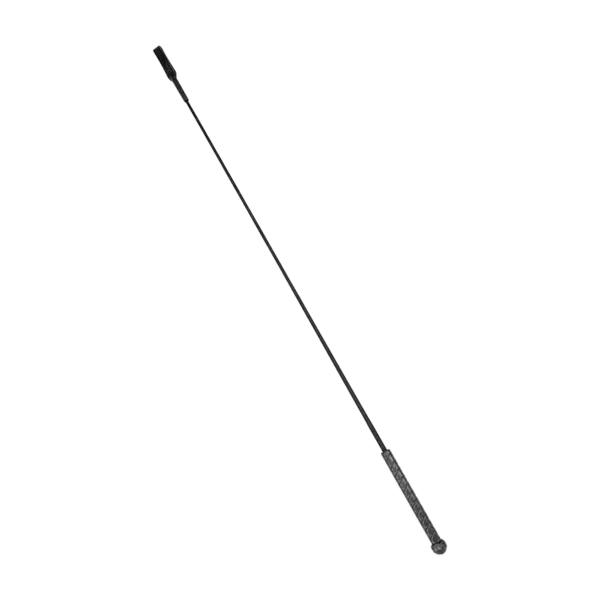 Fuete de Entrenamiento