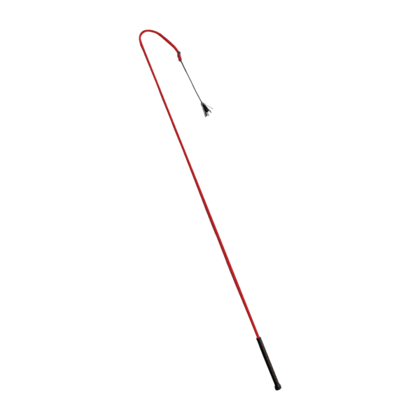 Fuete de Entrenamiento con Pajuela