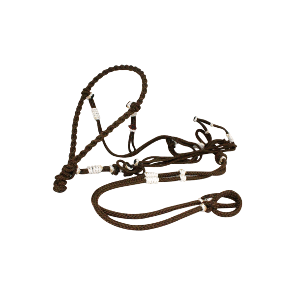 Gamarra con Rienda y Bandolas