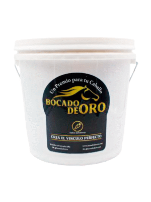 Galleta de Zanahoria 2 KG