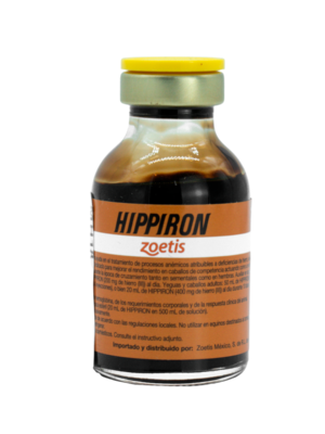 HIPPIRON