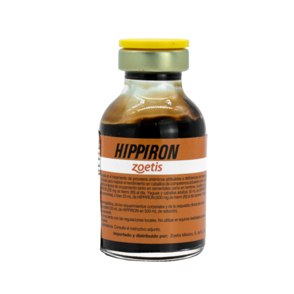 HIPPIRON