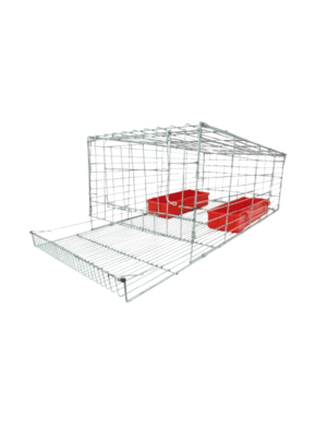 Jaula Postura de Códorniz