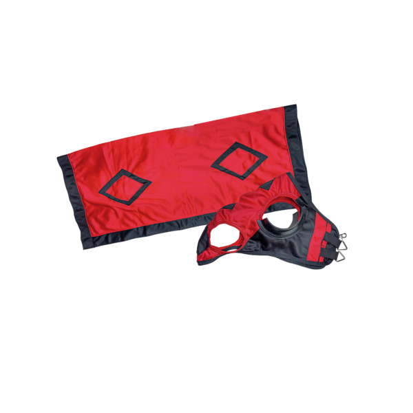 Juego de Mantilla y Máscara Estampada