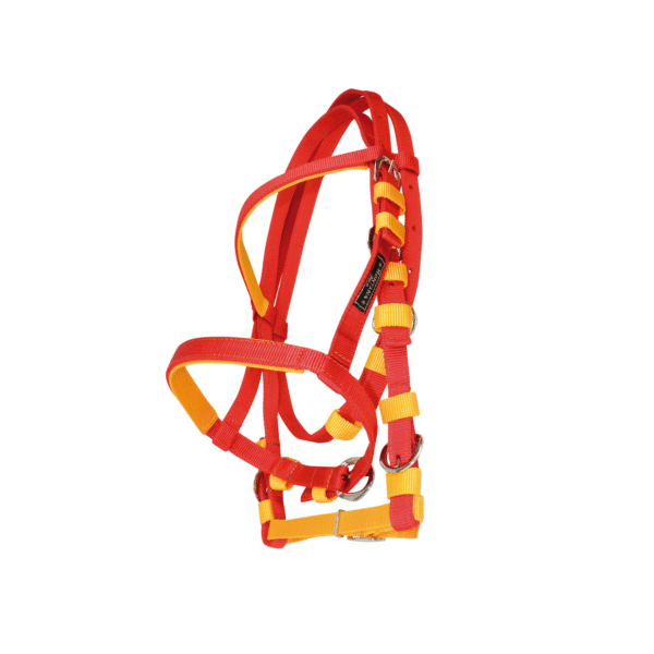 Brida de Nylon Sencilla