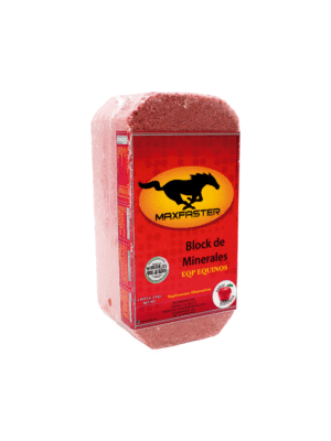 Piedra Mineral Maxfaster