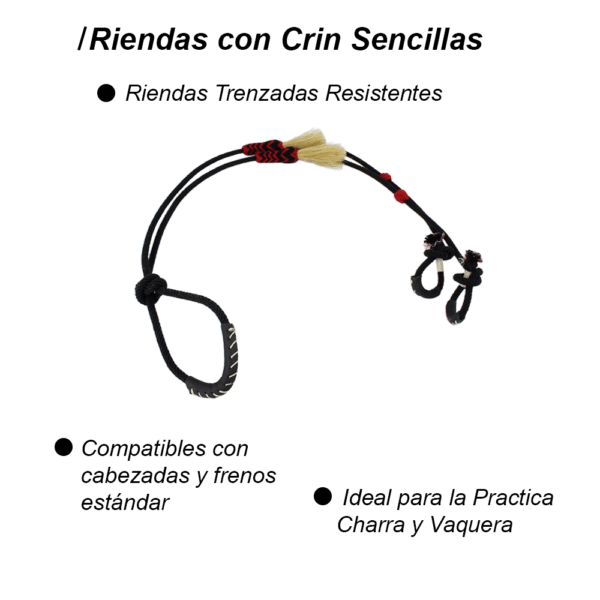 Rienda con Grin Sencilla