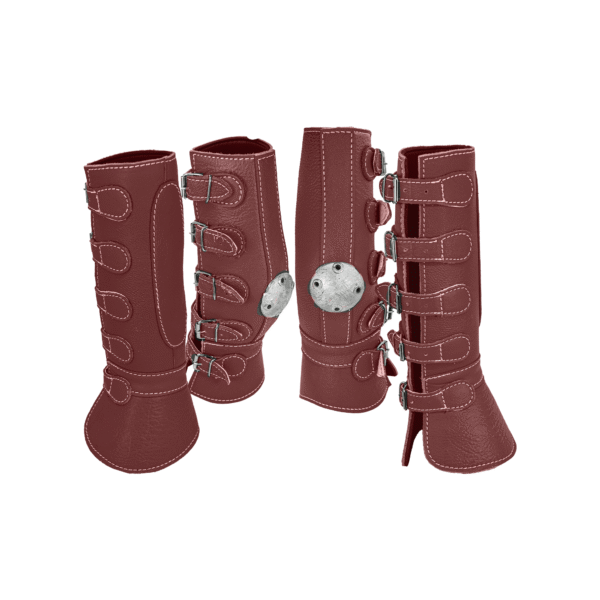 Protector de 4 Piezas Piel con Hebilla Vino