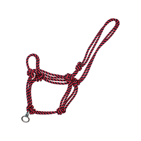 Gamarra con Destrocedor Rojo con Negro