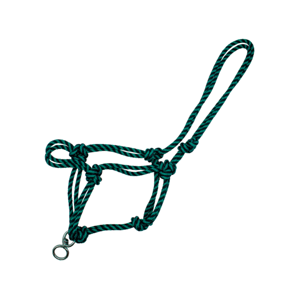 Gamarra con Destrocedor Verde con Negro