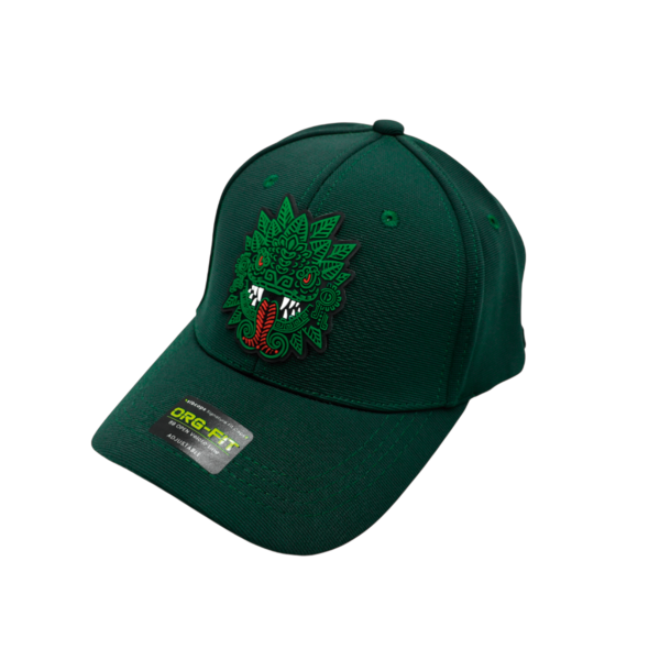 Gorra Plastisol de Diseños Variados