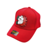 Gorra Plastisol de Diseños Variados