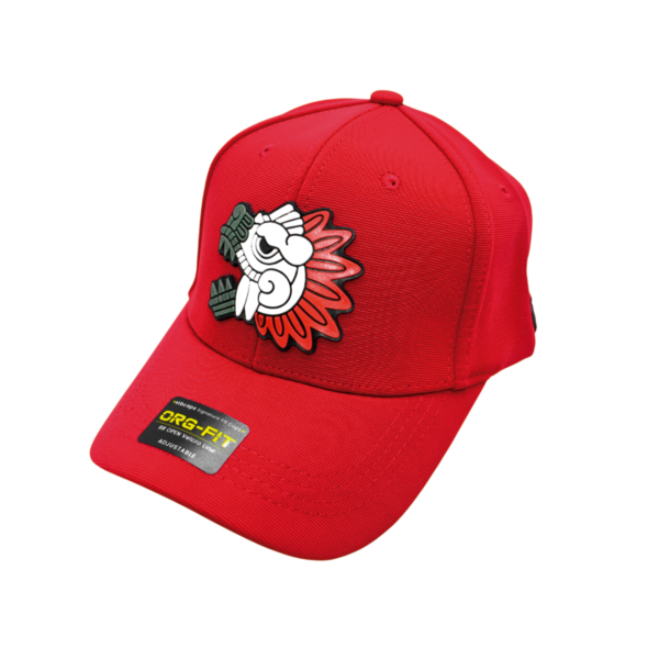 Gorra Plastisol de Diseños Variados