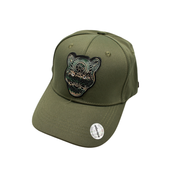 Gorra Plastisol de Diseños Variados