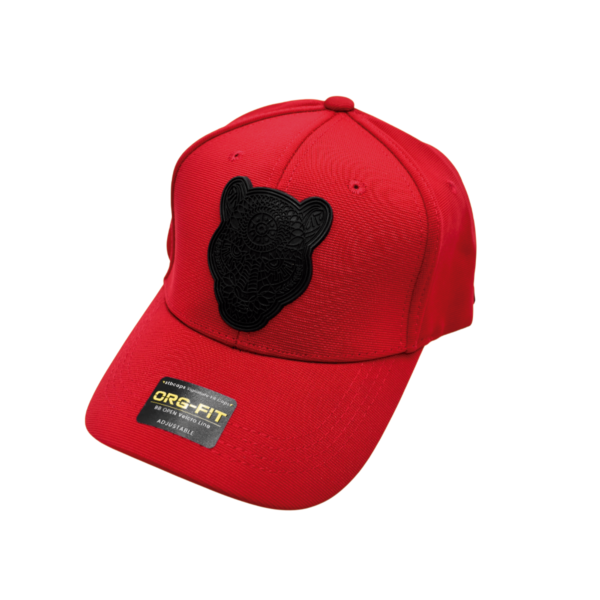 Gorra Plastisol de Diseños Variados