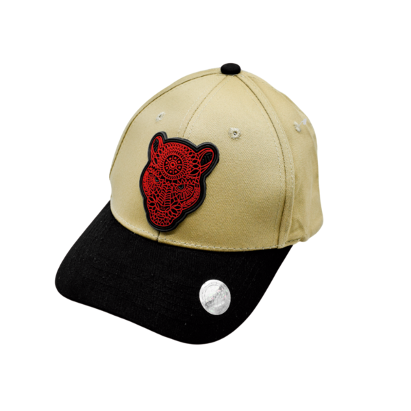 Gorra Plastisol de Diseños Variados