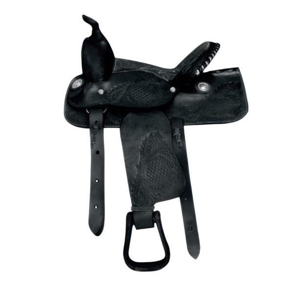 Montura Texana Fuste 12