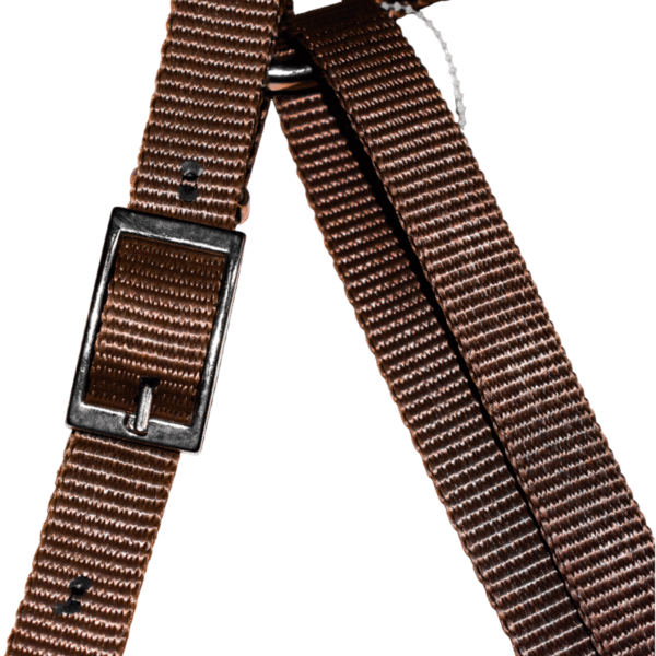 Pecho Petral con Tirante