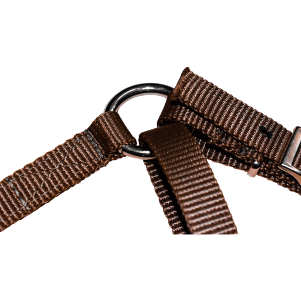 Pecho Petral con Tirante