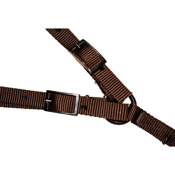 Pecho Petral con Tirante