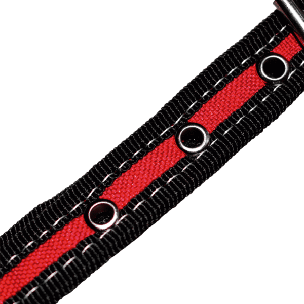 Pecho Petral Ribeteado