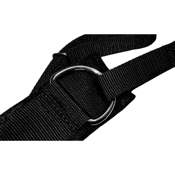 Pecho Petropeta de Fieltro con Nylon