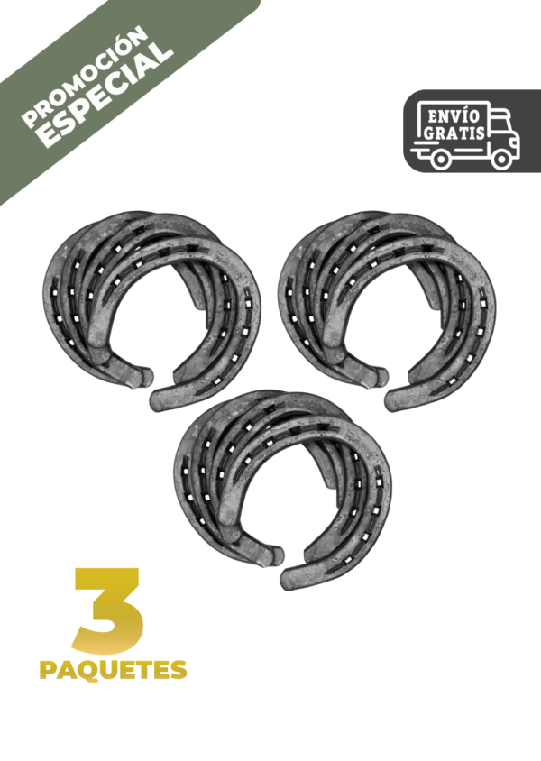 CONJUNTO HERRADURAS DE TRABAJO