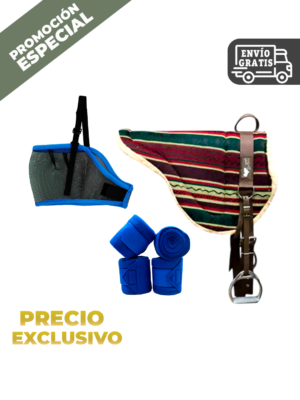 CONJUNTO SILLIN REPELENTE