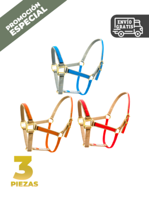 CONJUNTO ALMARTIGON AMERICANO BICOLOR