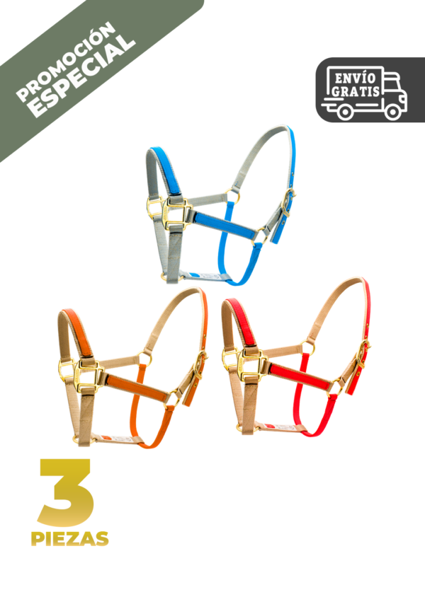 36. ALMARTIGON AMERICANO BICOLOR CONJUNTO ALMARTIGON AMERICANO BICOLOR