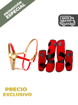 CONJUNTO PROTECTORES MAS ALMARTIGON