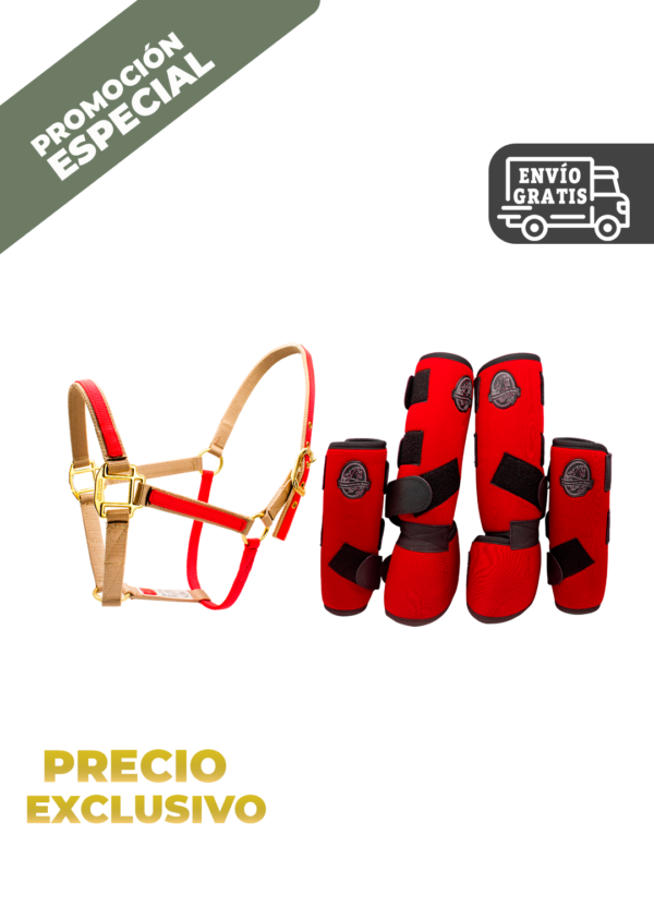 40. CONJUNTO PROTECTORES MAS ALMARTIGON CONJUNTO PROTECTORES MAS ALMARTIGON