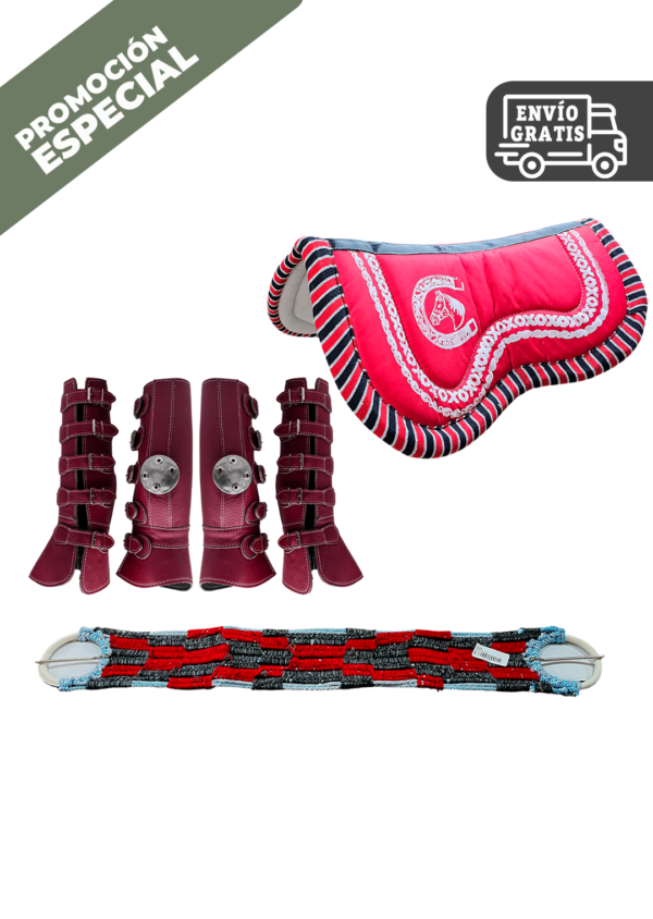 CONJUNTO PROTECTORES DE PIEL 4 PIEZAS