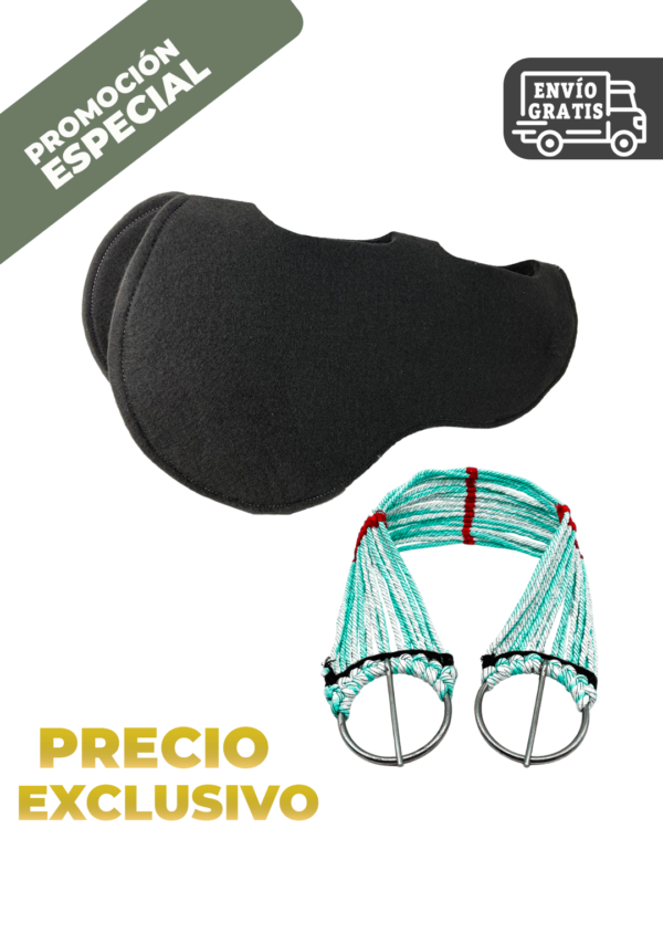 CARONA MAS CINCHO SENCILLOS CONJUNTO CARONA MAS CINCHO SENCILLOS