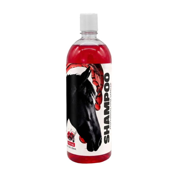 SHAMPOO FRUTAL