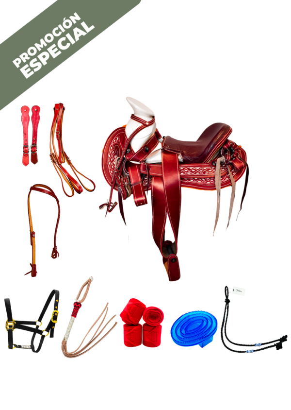 COMBO COLA DE PATO ASIENTO ORTOPEDICO