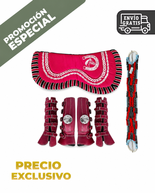 ChatGPT Image 18 jul 2026, 09_04_56 a.m. CONJUNTO PROTECTORES DE PIEL 4 PIEZAS