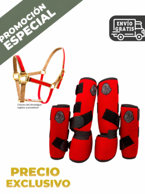 CONJUNTO PROTECTORES MAS ALMARTIGON
