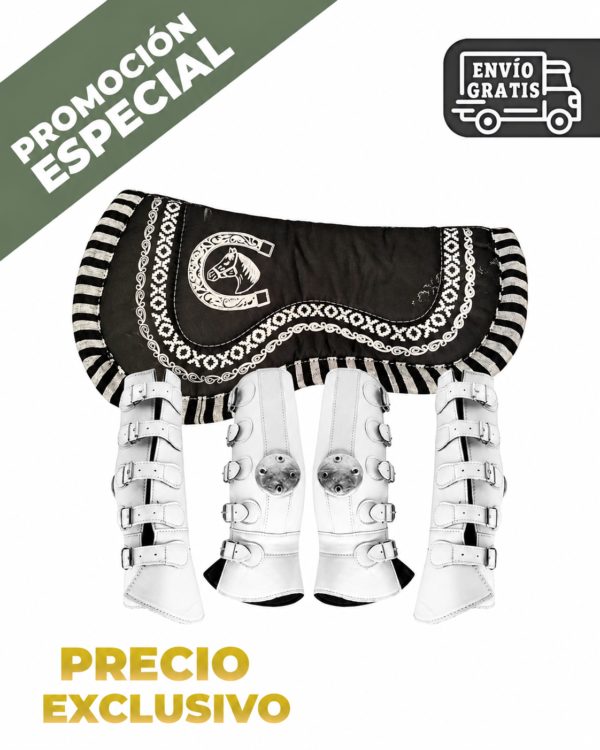 ChatGPT Image 18 jul 2026, 11_08_22 a.m. CONJUNTO CARONA MAS PROTECTORES DE PIEL