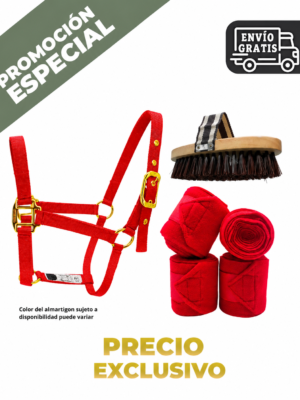 CONJUNTO ALMARTIGON LISO